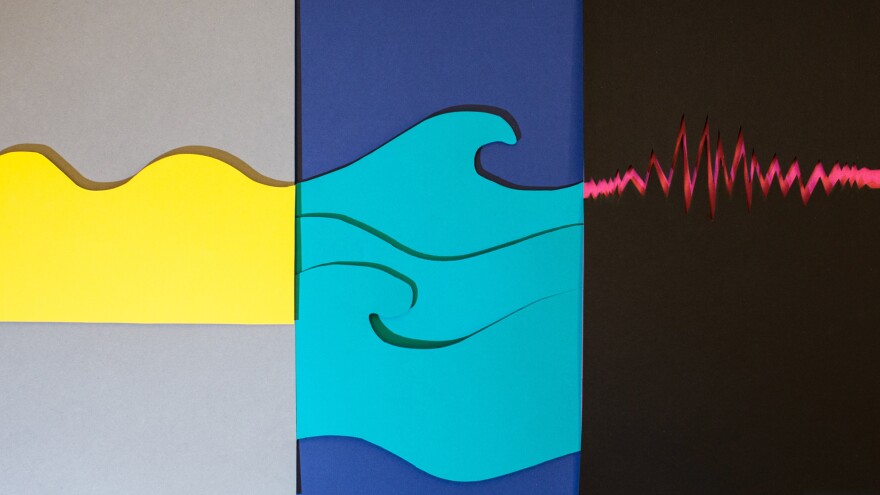 The same word is used to describe light, a lively sea, or a ripple in the fabric of space-time. What's in a wave?