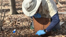 Volunteer Larry Lewis looks for salamanders during a survey at the Virginia Living Museum on March 30, 2026.