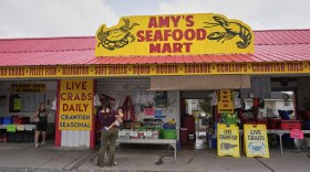A customer looks over the offerings at Amy's Seafood, a vendor in the Westwego Shrimp Lot, in Westwego, La., Thursday, April 3, 2025.