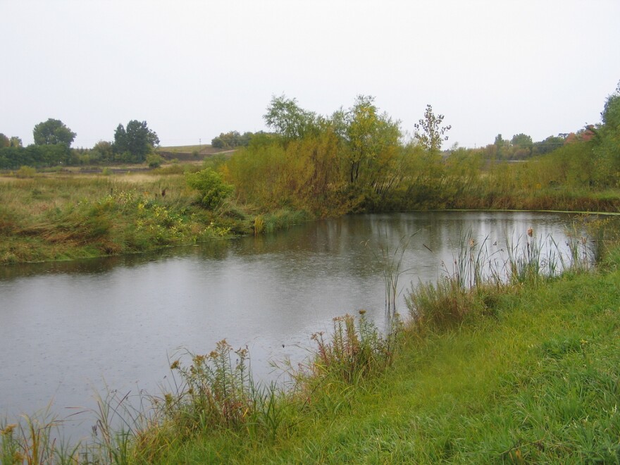 pond, lake, water