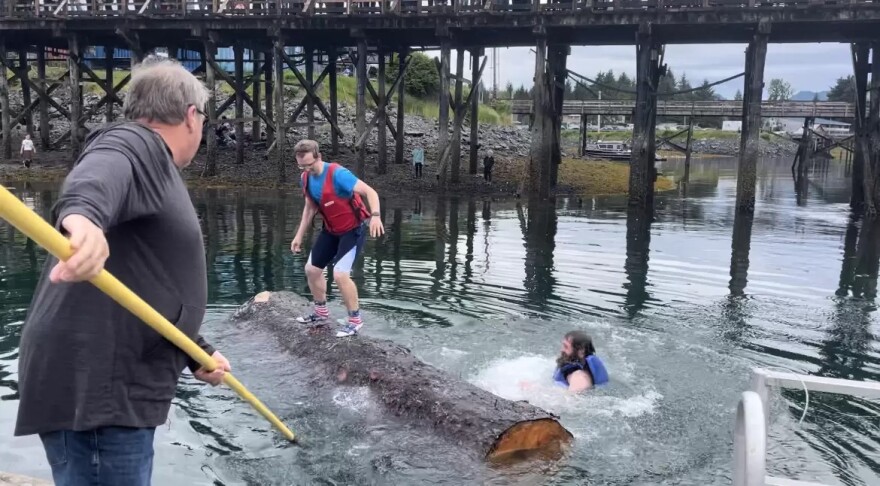 Skipper Erickson (center) out-rolls a competitor in Petersburg’s logrolling semi-finals on July 4, 2024.