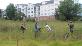 Volunteers with SoundWaters help clean a salt marsh in Boccuzzi Park — Stamford, Conn.