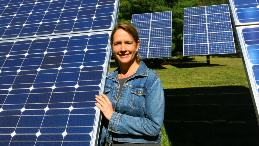 Vera Cole is president of the Mid-Atlantic Renewable Energy Association, a group arguing against proposed rules in Pennsylvania that would put stricter limits on how much grid-connected solar power homeowners can produce on their property.