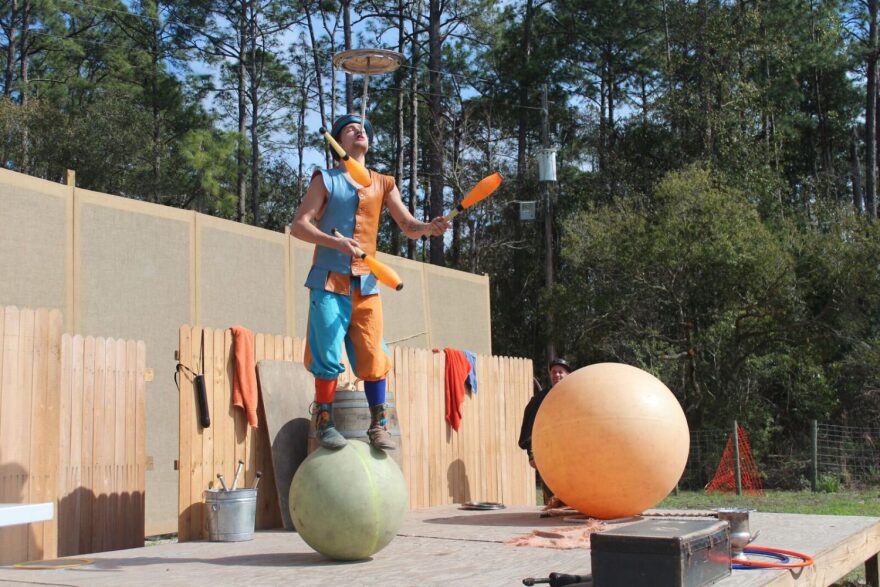 Performer Medieval Kineval balances on a ball while juggling three bowling pins and holding a spinning plate on a rod above his head with his teeth. Quite the multitasker, Kineval continued to generate applause from the crowd when he later traded the bowling pins for knives.(Teal Garth/WUFT News)