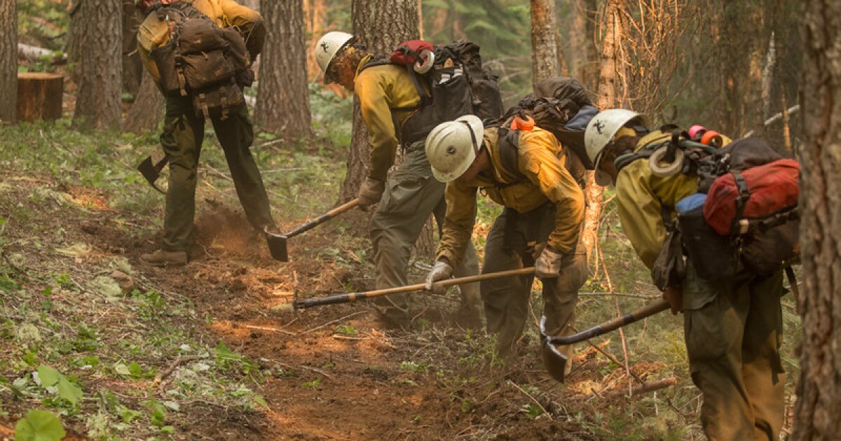 Est-il difficile de lutter contre les feux de forêt ? Pensez que le chercheur du Tour de France dit Est-il difficile de lutter contre les feux de forêt ? Pensez que le chercheur du Tour de France dit