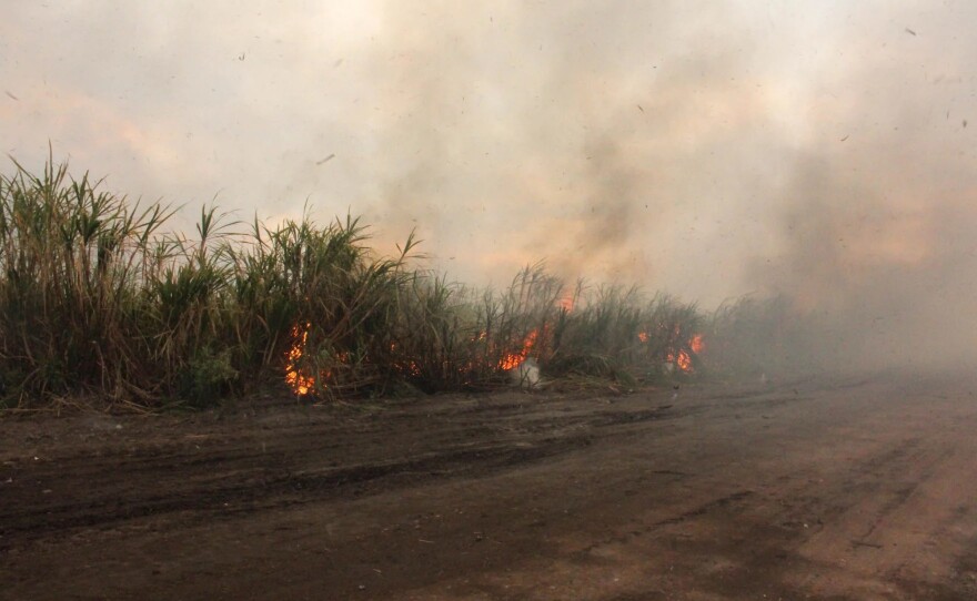 Glades residents raise health concerns again over sugarcane