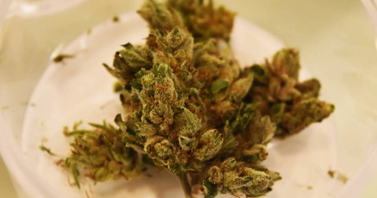 Who’s funding the effort to repeal legal recreational weed? It might not be who you think.