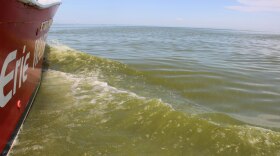 A cyanobacterial bloom on Lake Erie.