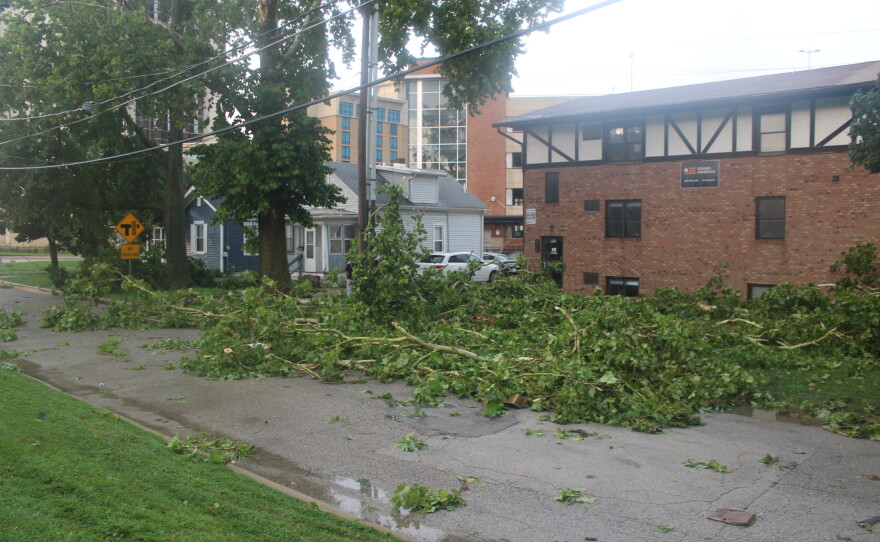 The road in front of an apartment building is speckled with green boughs fallen from trees during a recent storm.