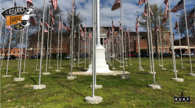 Flags fly in front of Veterans Health Care System of the Ozarks.