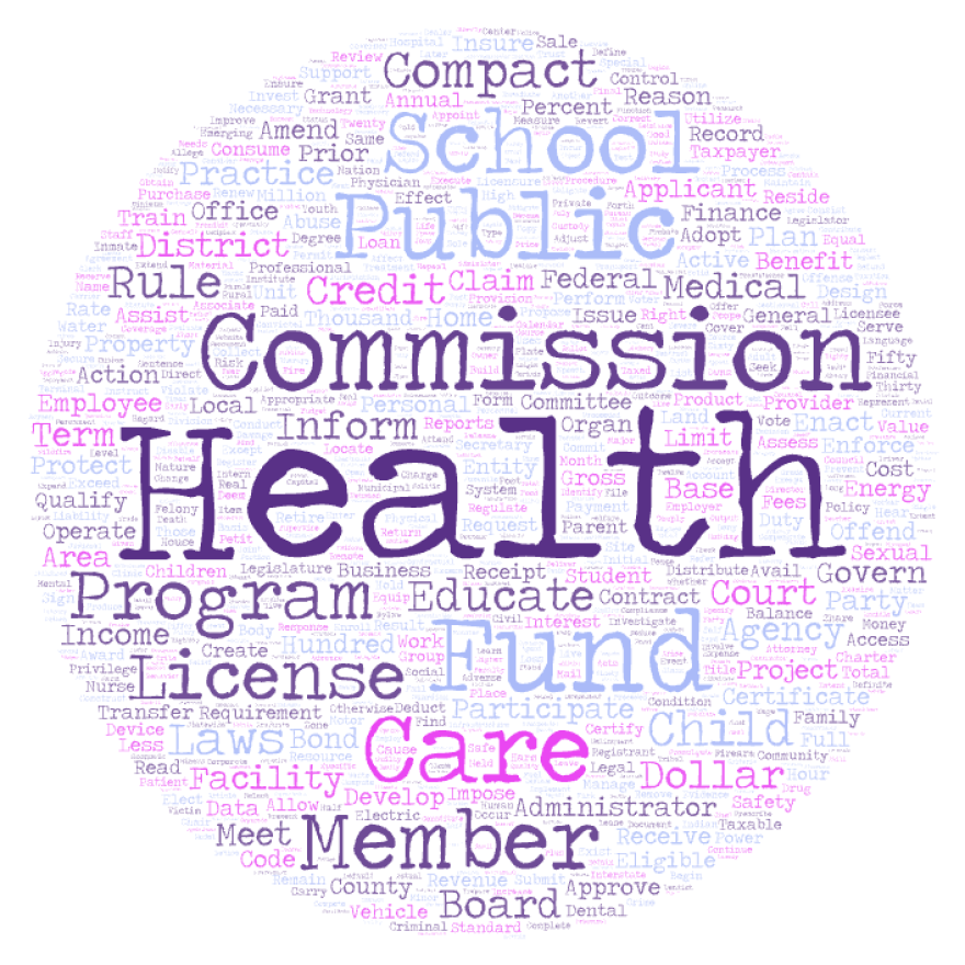 A word cloud illustrating the most commonly used words and phrases in the 553 bills lawmakers have introduced so far in the 2026 legislative session. (Source NM illustration)