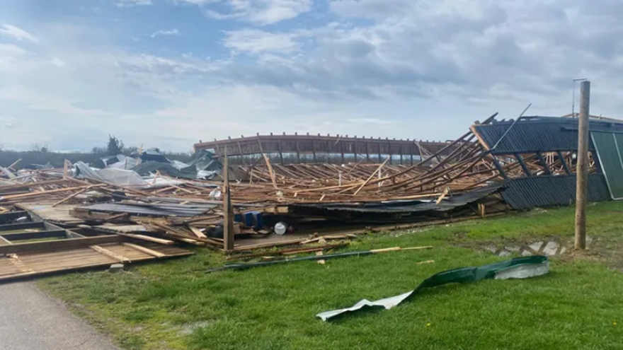 During Tuesday morning's storms, Bourbon County's Hidden Rose Farm suffered damage to barns, fencing, and an arena — and four horses were injured, according to the farm's Go Fund Me page.