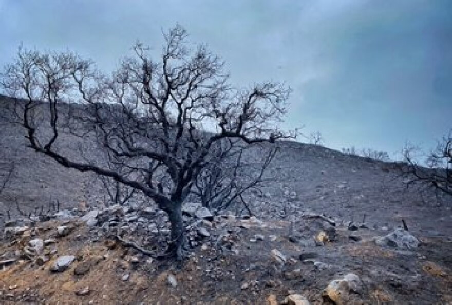 No major debris flow or flooding issues were reported in the Alisal brush fire burn area from Monday's storm.