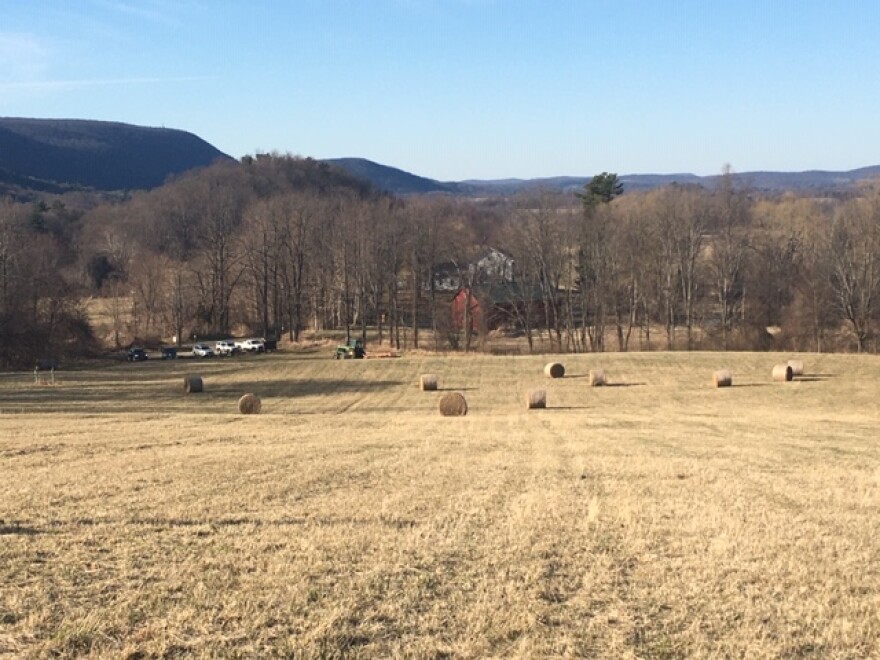 Buttercup Farm Audubon Sanctuary. Stanfordville, Dutchess County