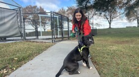 Volunteer Tina Bear walks Zeus at Charlotte-Mecklenburg Animal Care & Control on Byrum Drive in Charlotte, North Carolina.