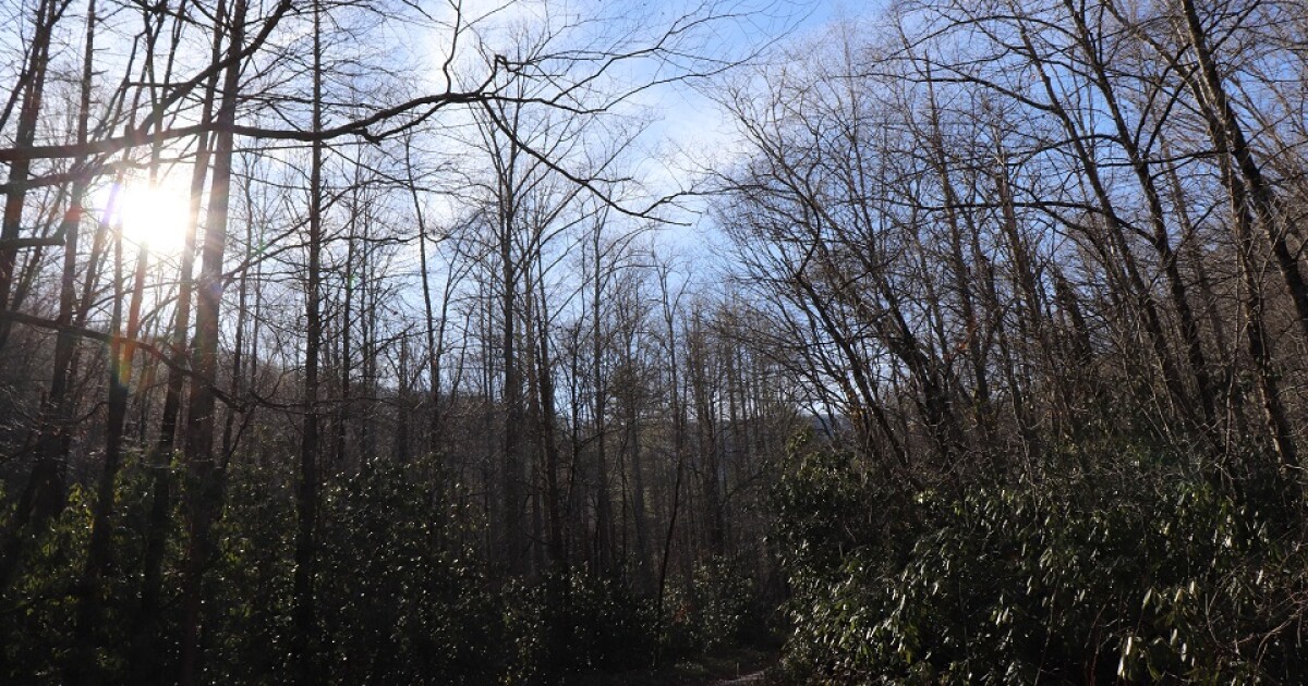 From Murphy To Manteo The Great Trails State Plan