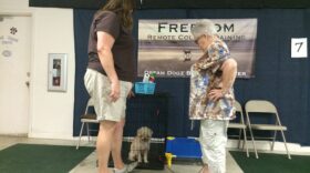 Victoria Warfel, shows dog owner, Beverly Gilbertson, techniques on how to relax her dog Peedee, before releasing him from his kennel.