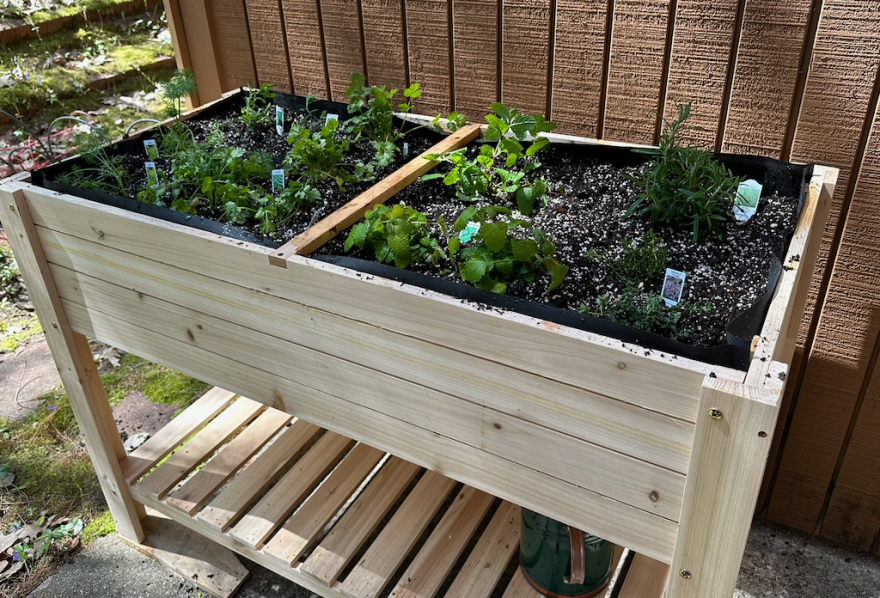 A couple years ago, IPR's Ed Ronco planted a garden box with herbs. It was off to a good start but (admittedly) neglect led to its demise. He's back on the horse this summer, with advice from Dylan Kulik in this month's "Grow & Tell" segment. (Photo: Ed Ronco/IPR News)