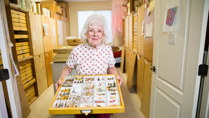 Lois O'Brien holds a few examples from her collection of some 250,000 planthopper specimens. Several rooms in the O'Brien house are filled with glass-topped shelves that she built to house the couple's insect collection, which is one of the world's biggest private collections.