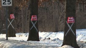 An Indiana Department of Transportation road project in Bloomington involves the removal of 50 trees. The trees marked for removal have the letter X. Community members have responded by placing signs around the trees saying “Stop INDOT” with a number to call the department.