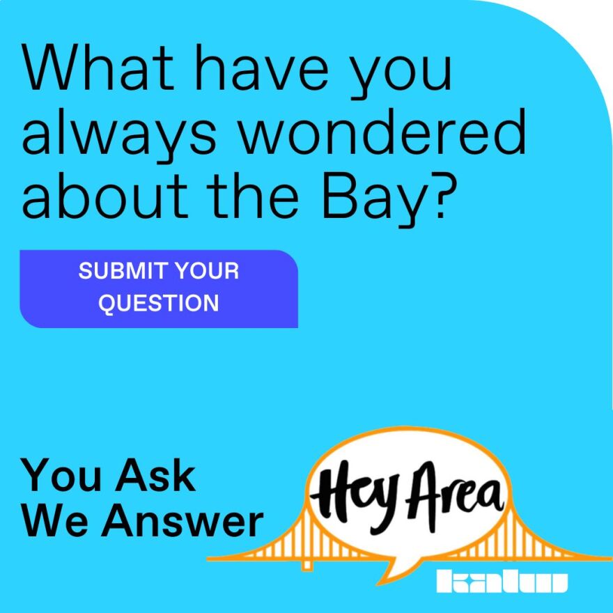  What have you always wondered about the Bay? Submit Your Question. You Ask We Answer. Hey Area 