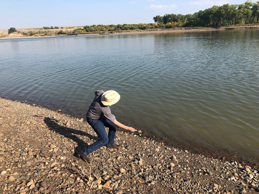 Montana Republican U.S. Senate Candidate Matt Rosendale skips rocks on the Yellowstone River near his Glendive home.