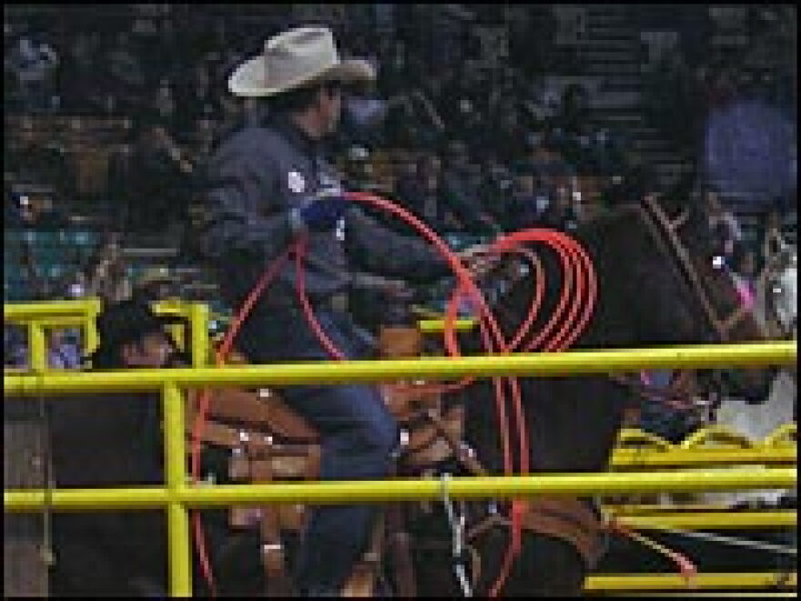 Kirt Jones waits in a paddock just before the steer is released into the arena.