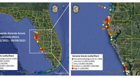 Map of red tide