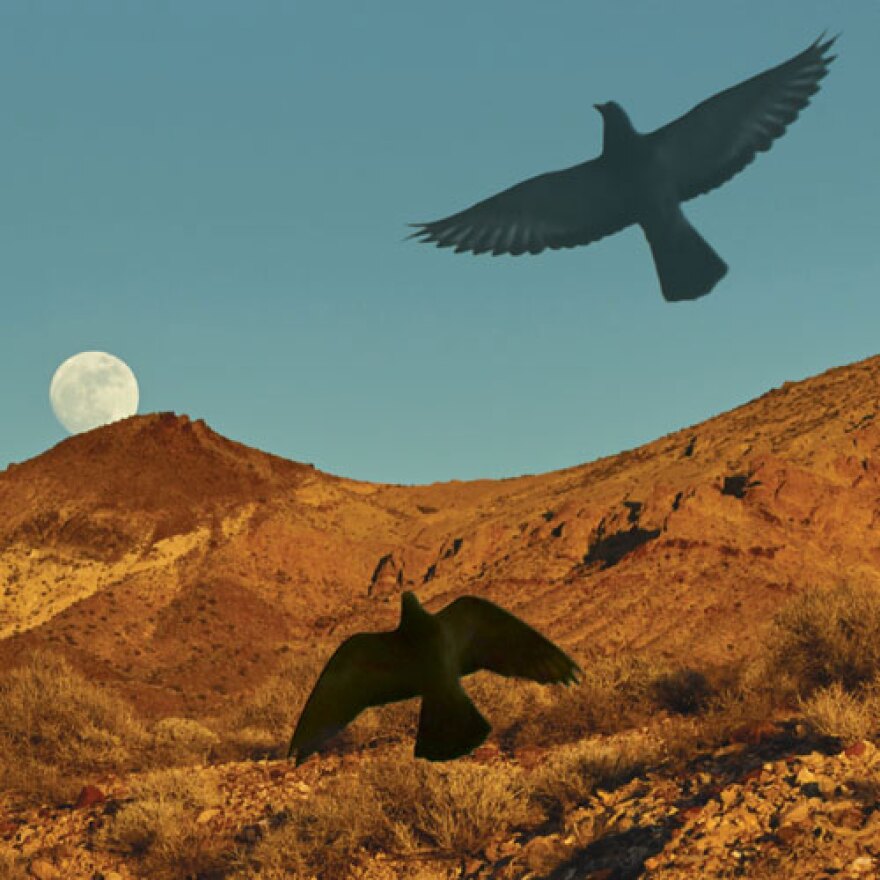 from_the_canyons_to_the_stars_-_no_credit_0.jpg