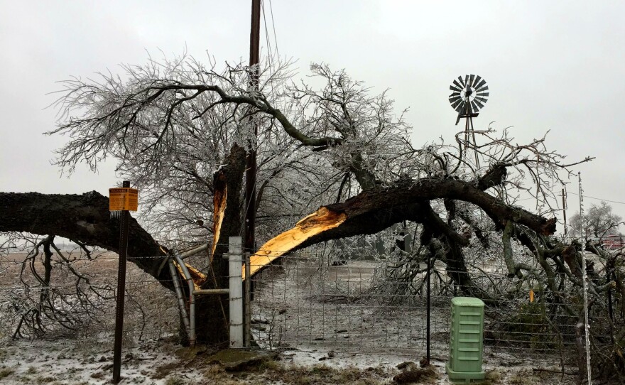 Residents in Cooke County are battling broken tree limbs and power outages.