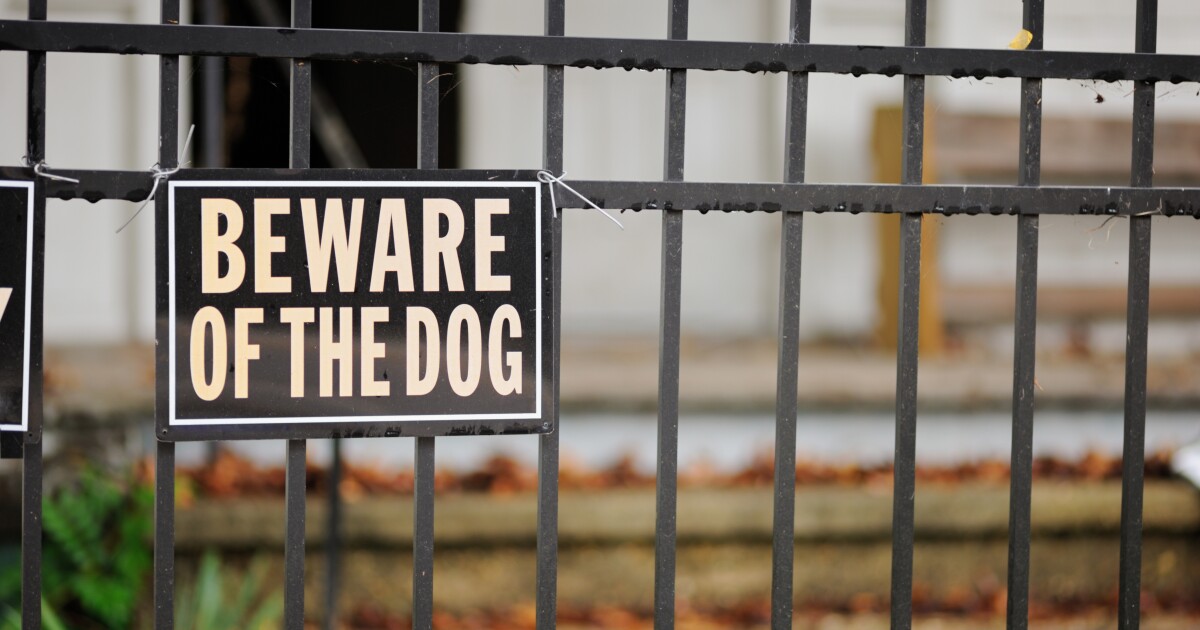 San Antonio woman in critical condition after her own dog attacked her