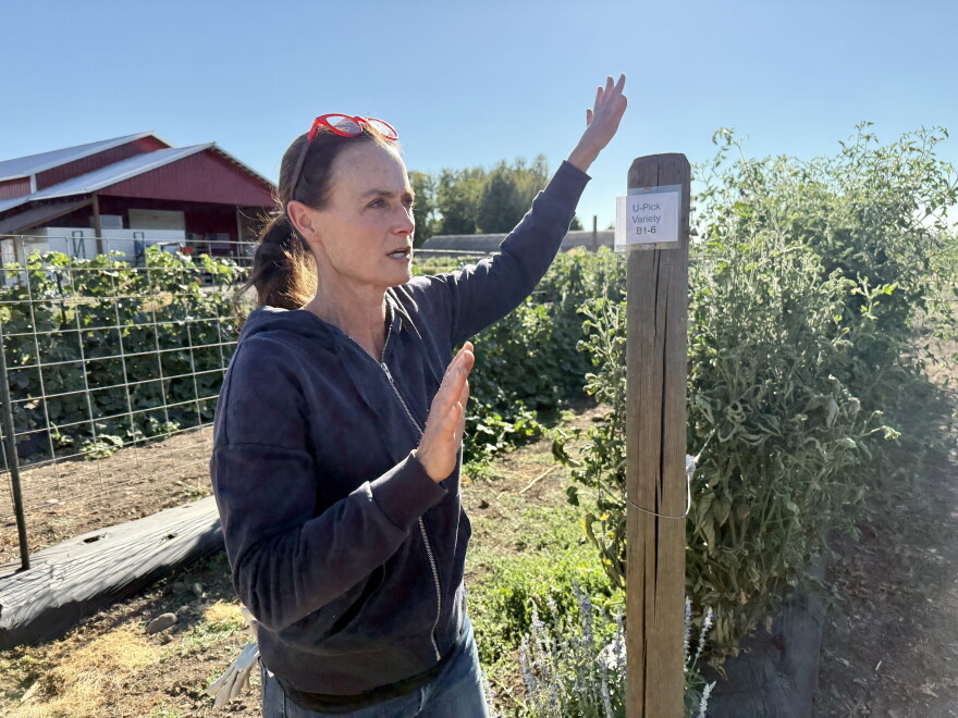 A woman named Amy Dietrich gives a tour of her farm, called Frog Hollow Farm, on Sunday, Aug. 23, 2026.