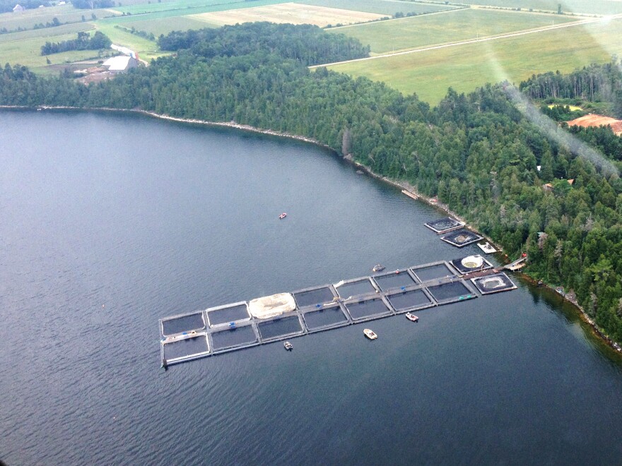 Meeker's Aquaculture in Evansville, Ontario, is one of the commercial fish pens on the Canadian side of Lake Huron, raising mainly rainbow trout.