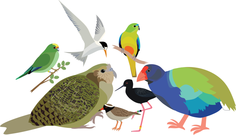 Illustration by Stephanie Galla