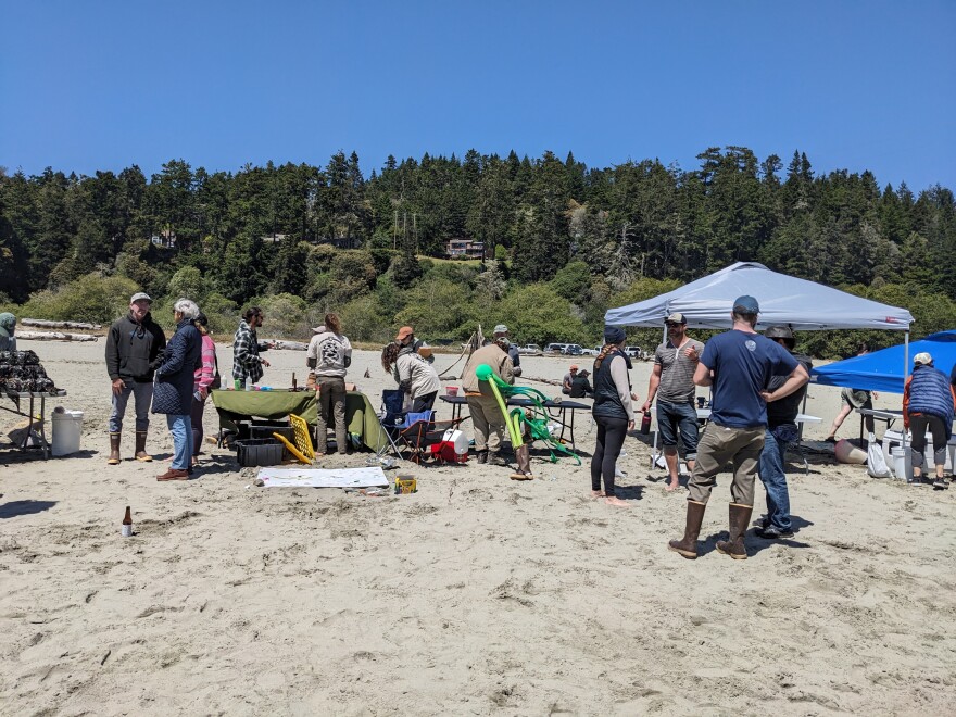 A small crowd on a beach standing around some pop-up tents and folding chairs.