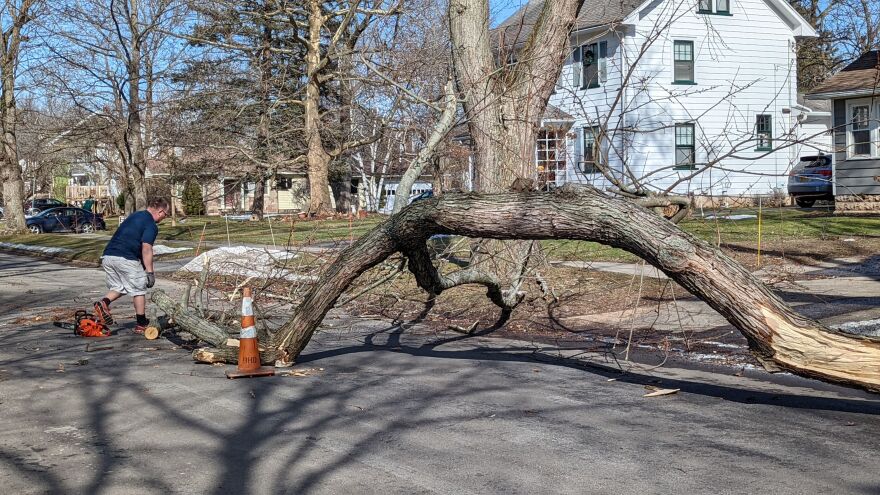 High winds brought down many tree branches around the Rochester area on Sunday, including this one on Sylvan Rd. in Brighton