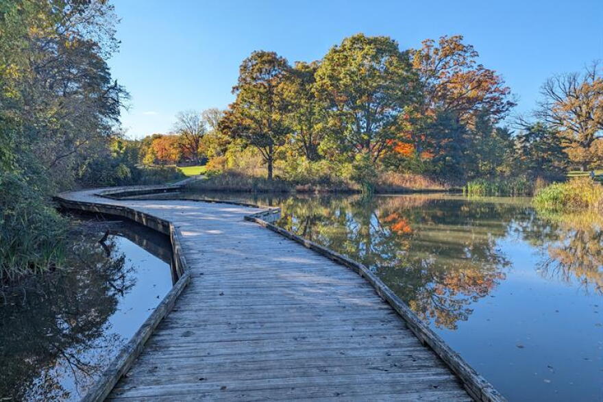 West Park in Ann Arbor.