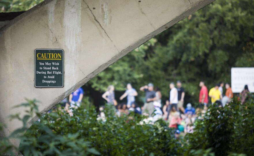 A sign warning about bat droppings.
