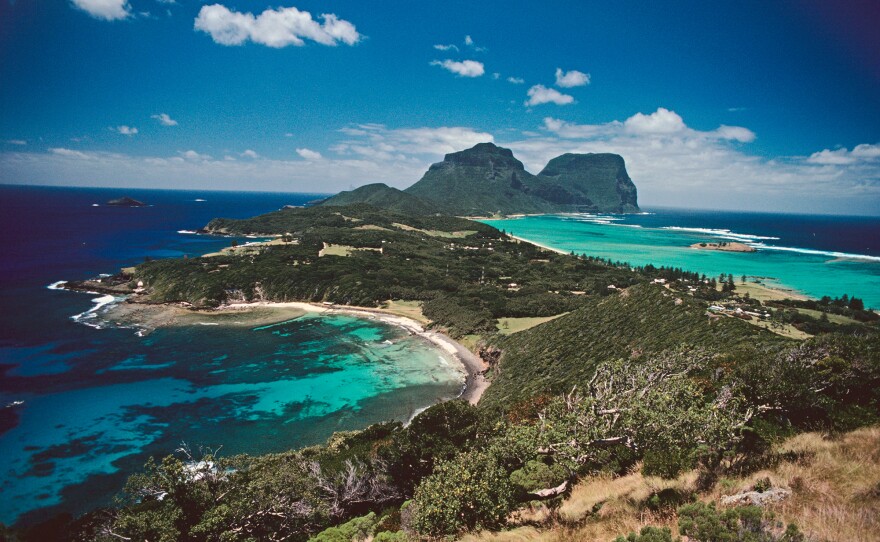 Lord Howe Island, in the South Pacific, is once again home to some of its namesake insects — but only in captivity so far.