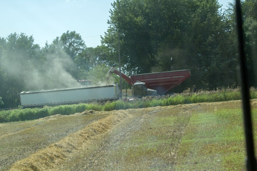 Oat grain moves from wagon into a semi-truck for transport to the local co-op. Straw left on the field will be sold as animal bedding.