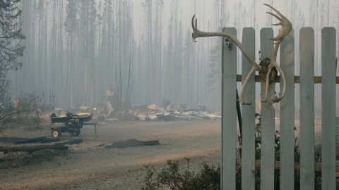 The driveway to Robert Nelson and Helena Fix Nelson’s burned home on Aug. 19, 2026.