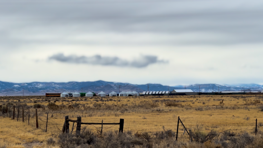  Area 420, marked by the silver temporary living spaces and the fence-lined cannabis farms, stretches across the western side of Moffat.