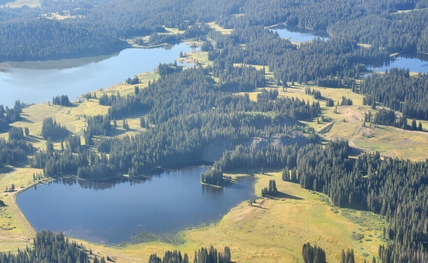 Aerial view of a landscape dotted with trees and lakes.