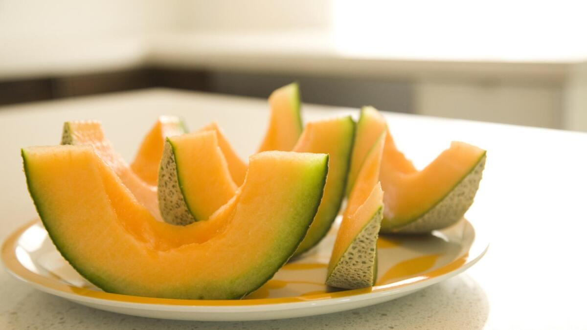 Virus outbreak caused by warm winter affects Yuma melon plants
