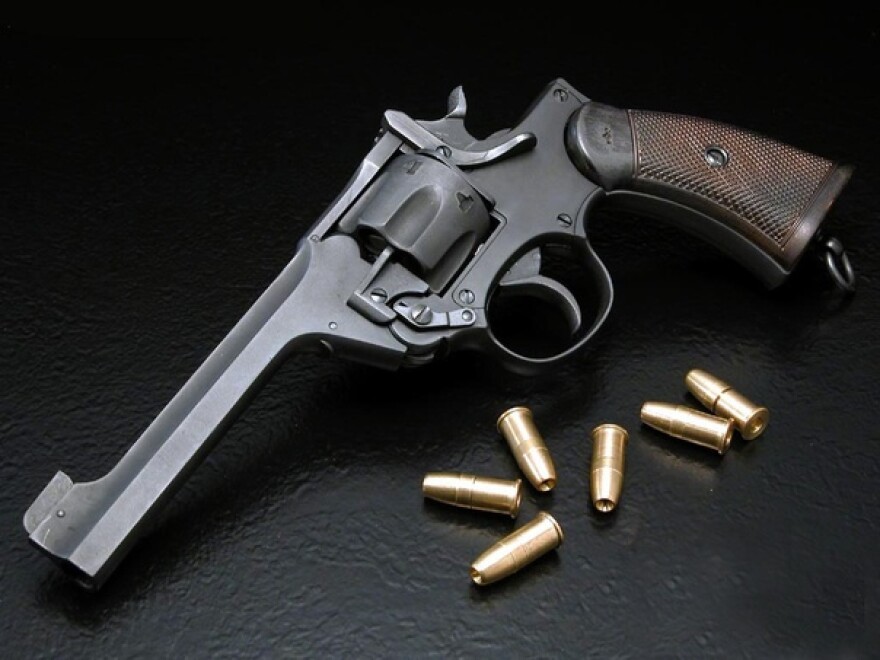 Gainesville has partnered with community organizations to host gun violence awareness events this month.