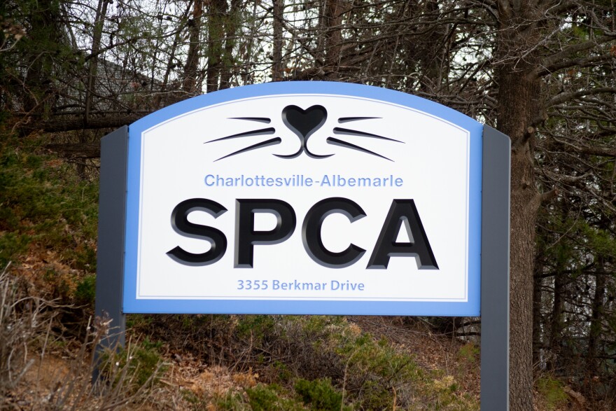 Staff and volunteers have alleged a hostile work environment and substandard animal care at the shelter.
