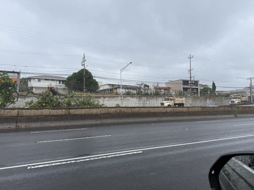 The H1 Westbound lanes near the School Street on ramp and part of School Street were closed Sunday morning due to large, downed tree.