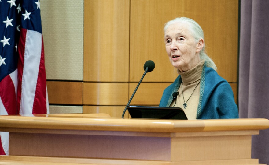 Jane Goodall spoke at the U.S. Department of State this week.