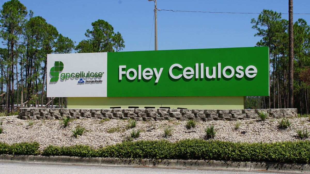 Taylor County prepares to face Foley Mill closure; weeks after major hurricane - Vimarsana News