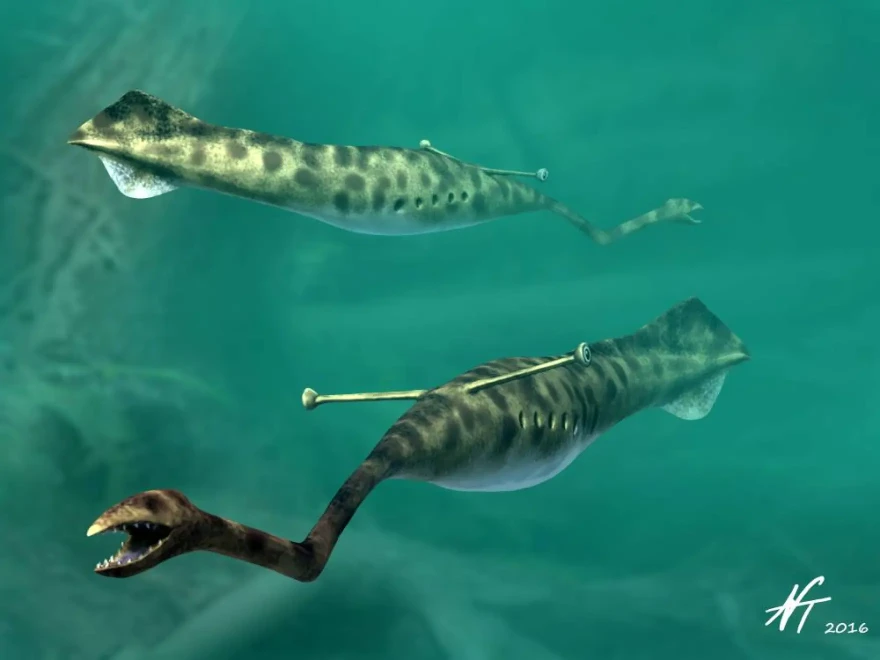An artist’s rendition of Tullimonstrum gregarium, aka, the Tully Monster